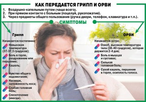 как передается грипп